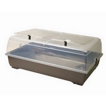 Jumbo Superior Propagator