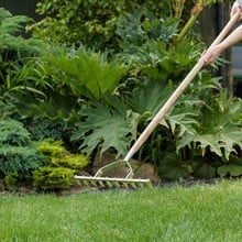 Kent & Stowe Scarifying Rake