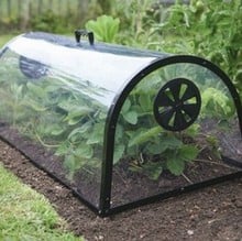 Kitchen Garden Cloche