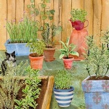 Large Herb Garden