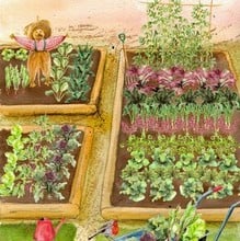 Large Vegetable Patch