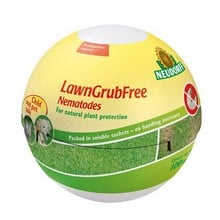 LawnGrubFree Nematodes
