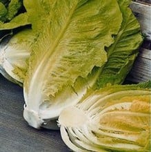 Lettuce Little Gem - Organic Plant Packs