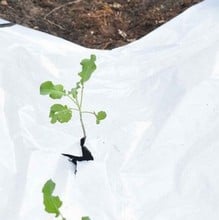 Light Reflective Mulch Weed Control Fabric