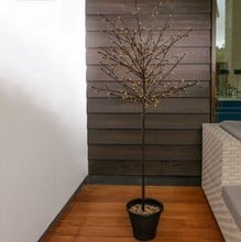 LED Twig Tree Decorations - Harrod Horticultural