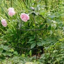 Lobster Pot Plant Support - Matt Black