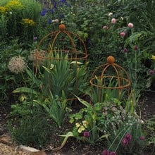 Lobster Pot Plant Support - Rust