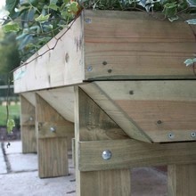 Micro Manger Trough Planter Micro Manger Trough Planter