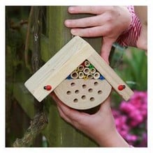 Mini Bugs Bug Box