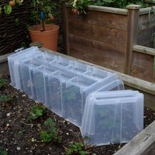 Mini Greenhouse Cloche Tunnels - Single Width