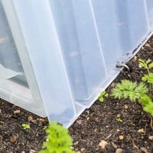 Mini Greenhouse Cloche Tunnels - Single Width