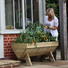 Mini Manger Trough Planters