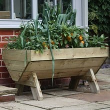 Mini Manger Trough Planters