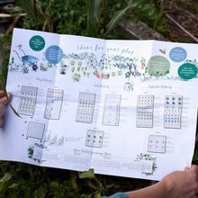 Mini Year Round Veg Patch