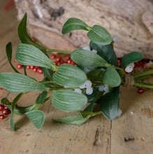 Mistletoe Bunch by Floral Silk