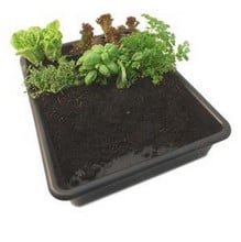 Multi-Purpose Garden Tray Multi-Purpose Garden Tray