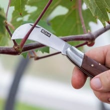 National Trust Pocket Knife
