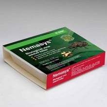 Nemasys Vine Weevil Killer Large Instructions