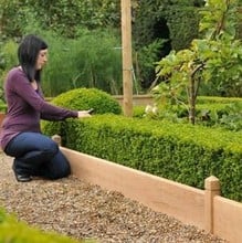 Oak Border Edging