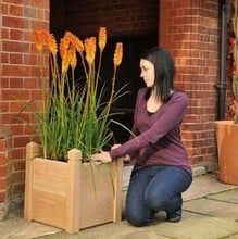 Oak Planters