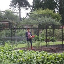 Ogee Arch Fruit Cage