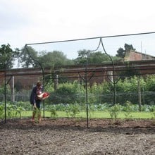 Ogee Arch Fruit Cage