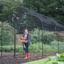 Ogee Arch Fruit Cage