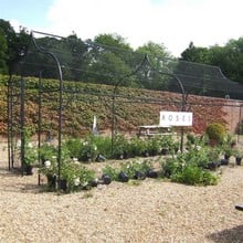 Ogee Arch Fruit Cage