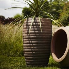 Old Ironstone Jar Planter