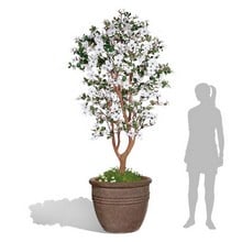 Old Ironstone Lined Cylinder Pot Planter Old Ironstone Lined Cylinder Pot Planter