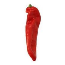 Organic Marconi Red Pepper Seeds