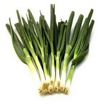 Organic Spring Onion - Ramrod