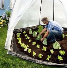 Overwintering Plant Tent