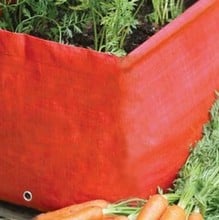 Patio Planter Pack Special Offer