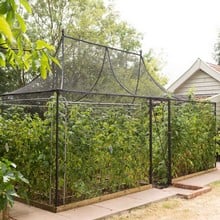 Pavilion Fruit Cage