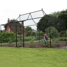 Pavilion Fruit Cage