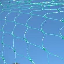 Pea and Bean Netting