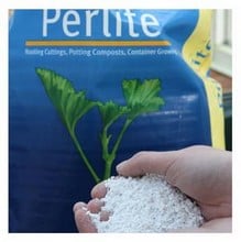 Perlite