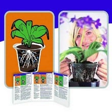 Plantarium Root Care Pots