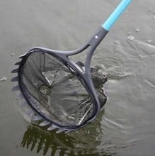 Pond Shark Pond Net