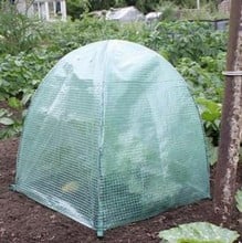 Pop-Up Grow Cloches (Large)