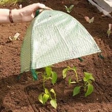 Pop-Up Grow Cloches (Large)