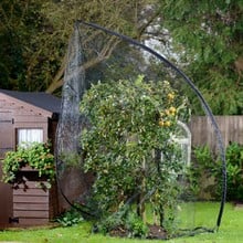 Popadome Fruit Tree Cover (3.5m high)