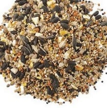 Premium Wild Bird Food