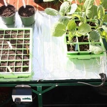 Propagation Heating Mats Harrod Horticultural Uk