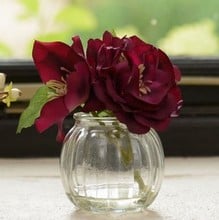 Purple Christmas Rose in Small Vase by Sia