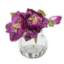 Purple Christmas Rose in Small Vase by Sia