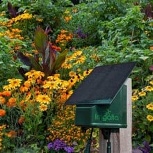 Q Series SOL-C36Q Weather Responsive Irrigation System