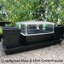 Quadgrow Plus Vegetable Planter