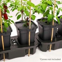 Quadgrow - Self Watering Planter